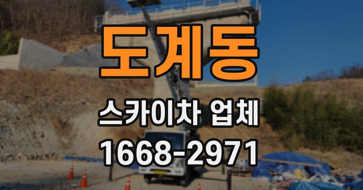 도계동 스카이차 업체