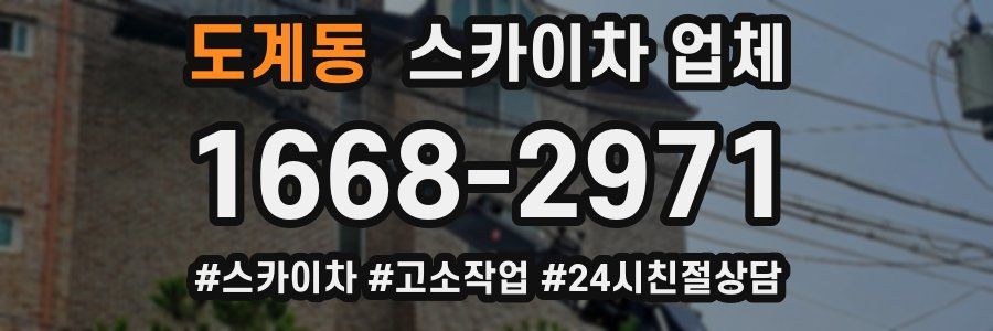 도계동 스카이차 업체