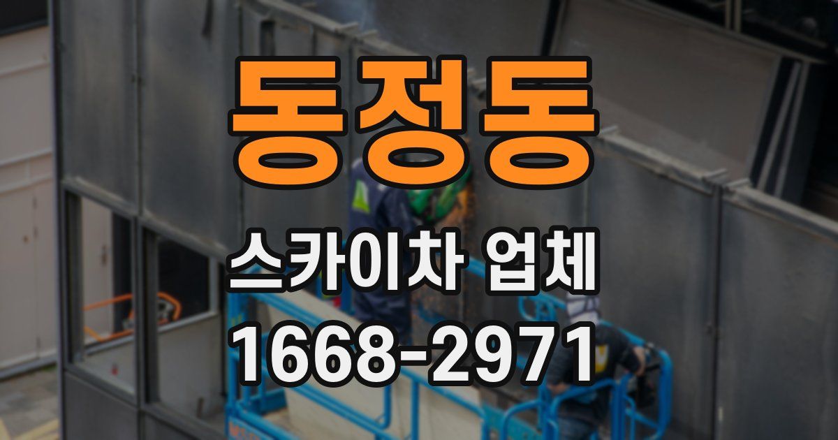 동정동 스카이차 업체