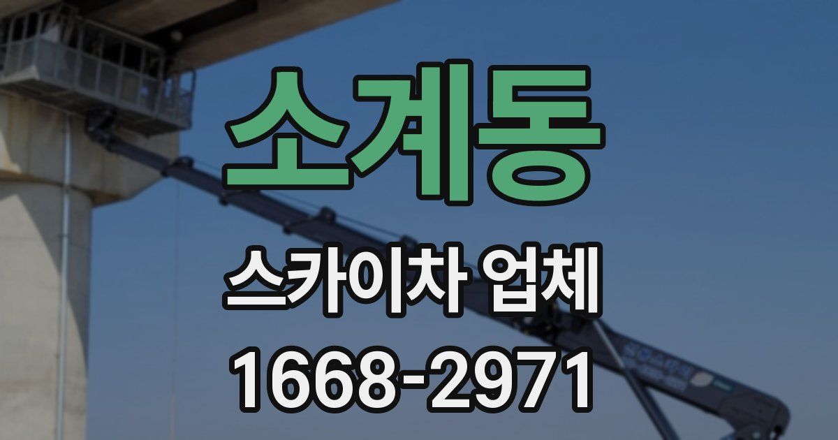 소계동 스카이차 업체