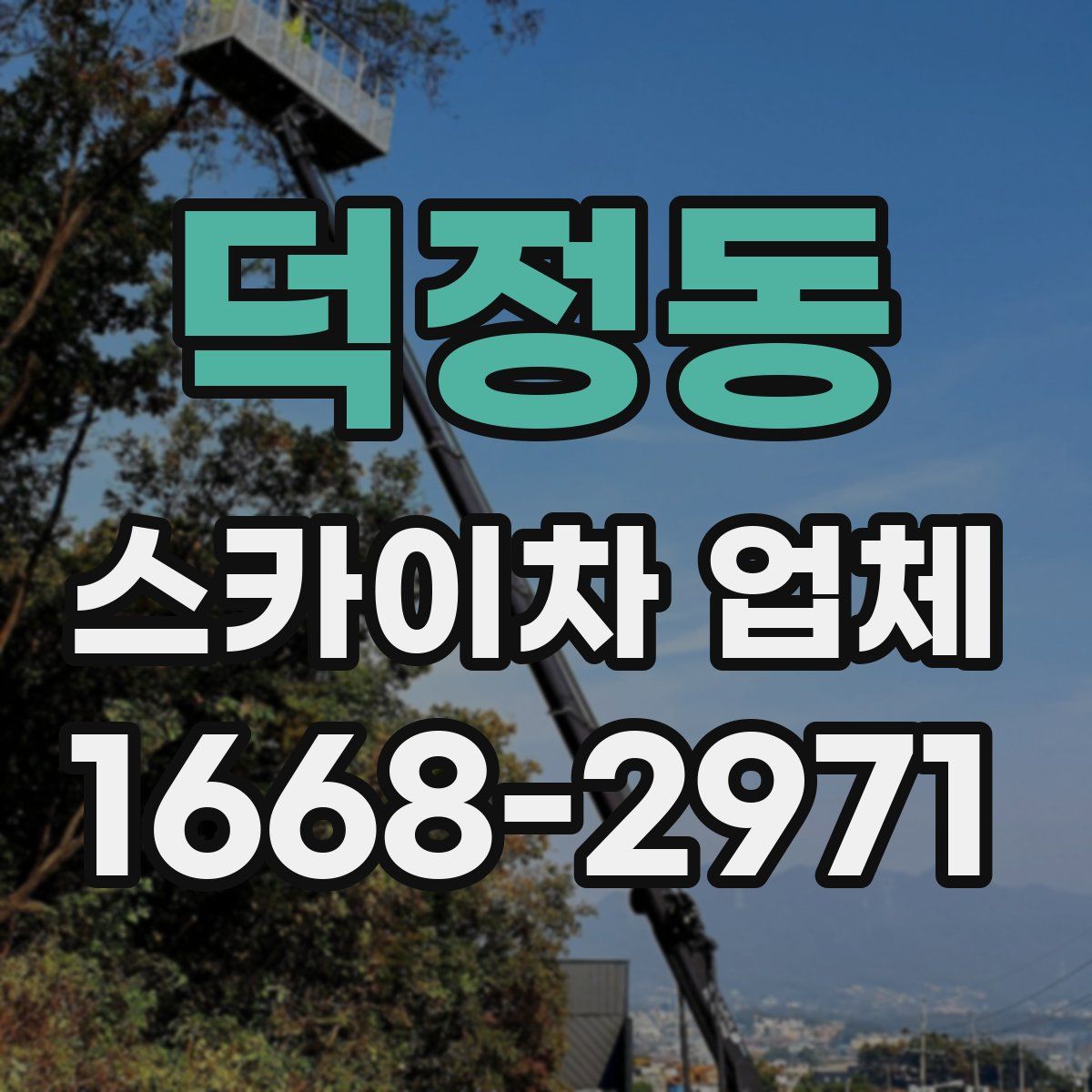 덕정동 스카이차 업체