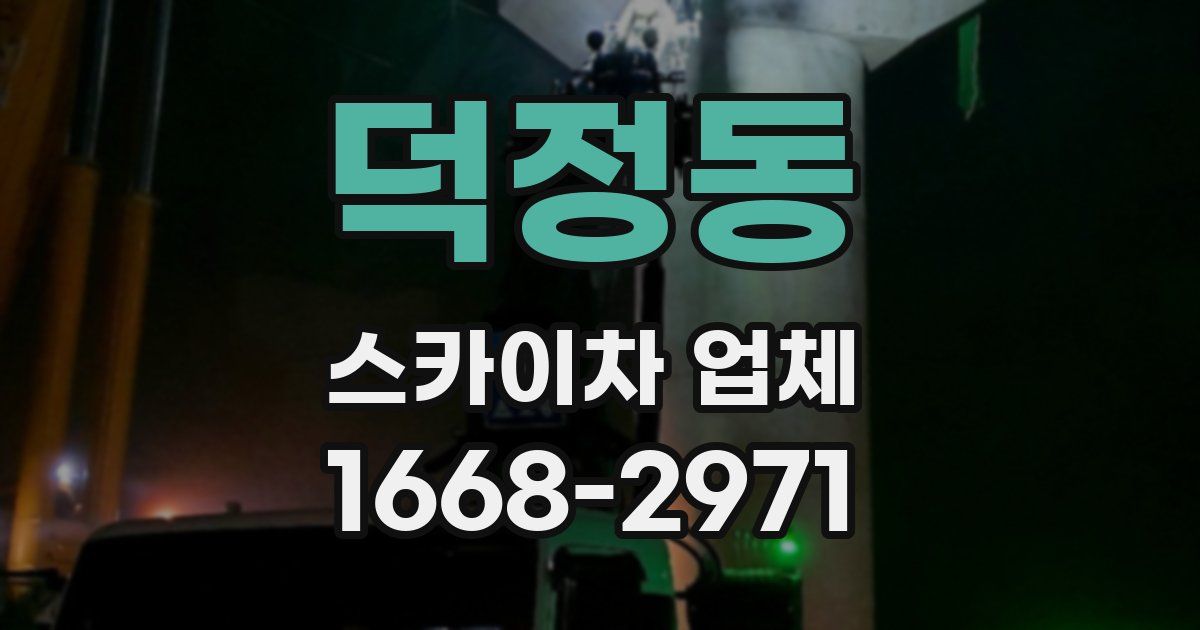 덕정동 스카이차 업체