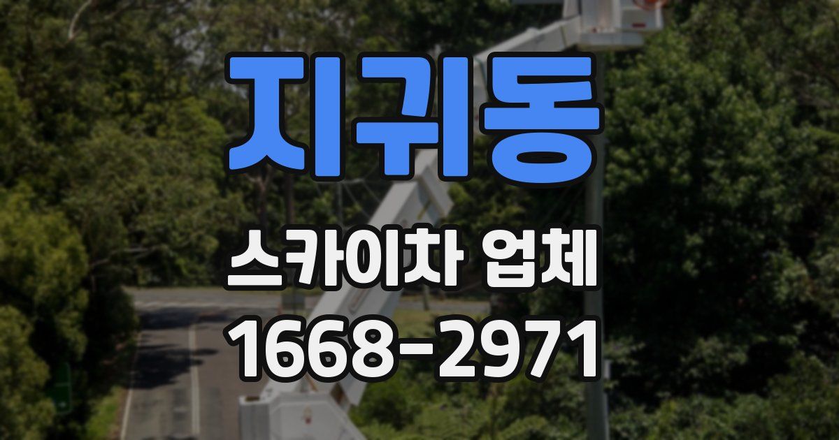 지귀동 스카이차 업체