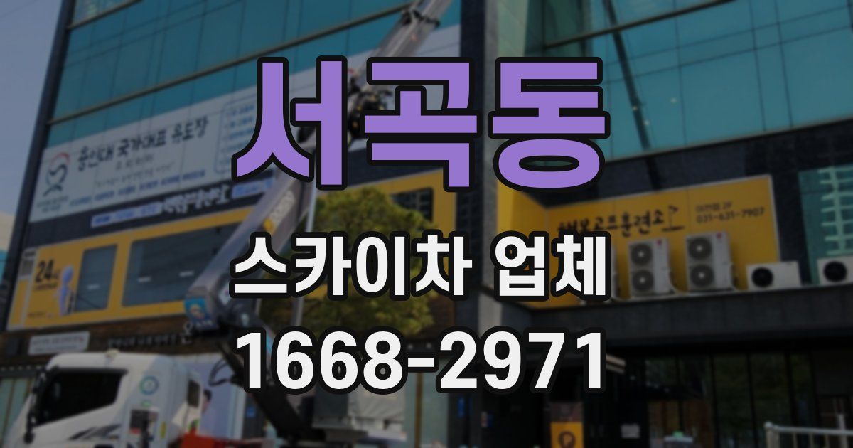 서곡동 스카이차 업체