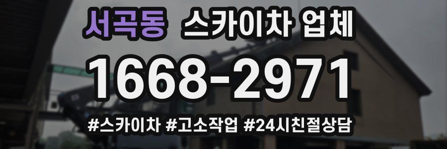 서곡동 스카이차 업체