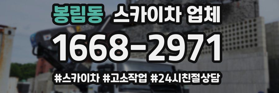 봉림동 스카이차 업체