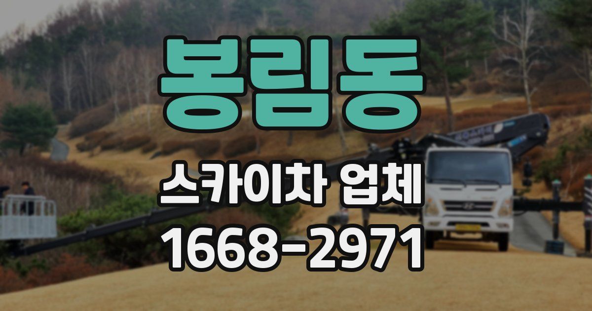 봉림동 스카이차 업체