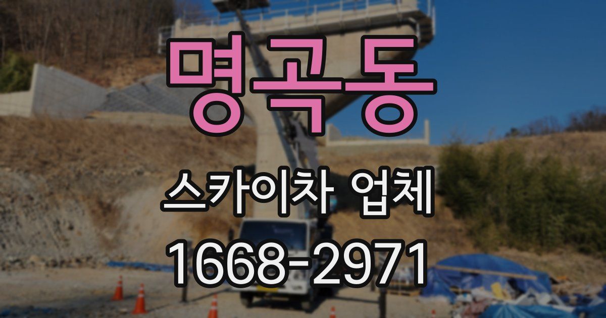 명곡동 스카이차 업체