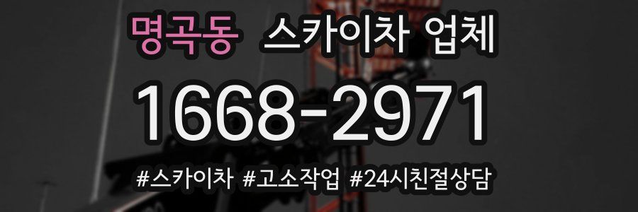명곡동 스카이차 업체