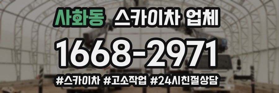 사화동 스카이차 업체