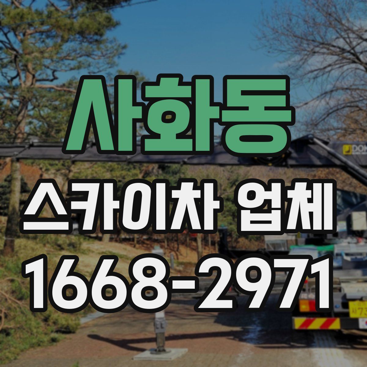 사화동 스카이차 업체