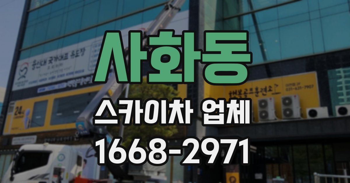 사화동 스카이차 업체
