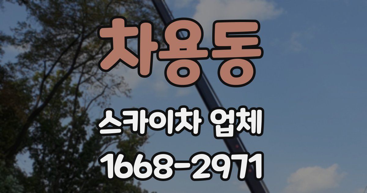 차용동 스카이차 업체