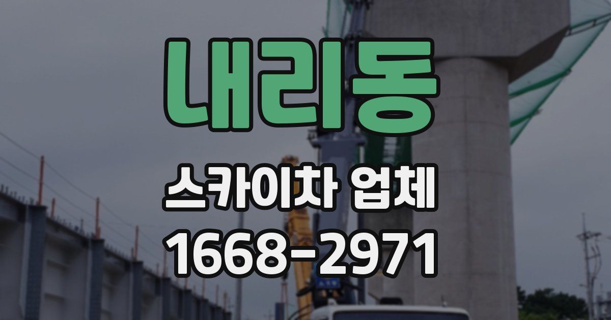 내리동 스카이차 업체