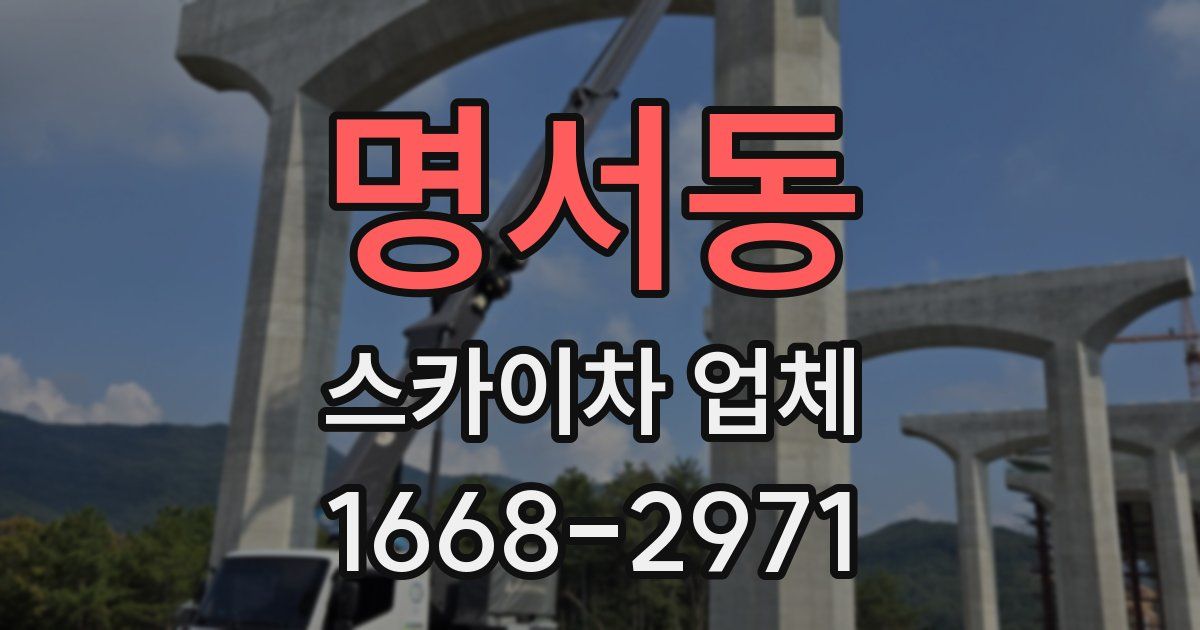 명서동 스카이차 업체