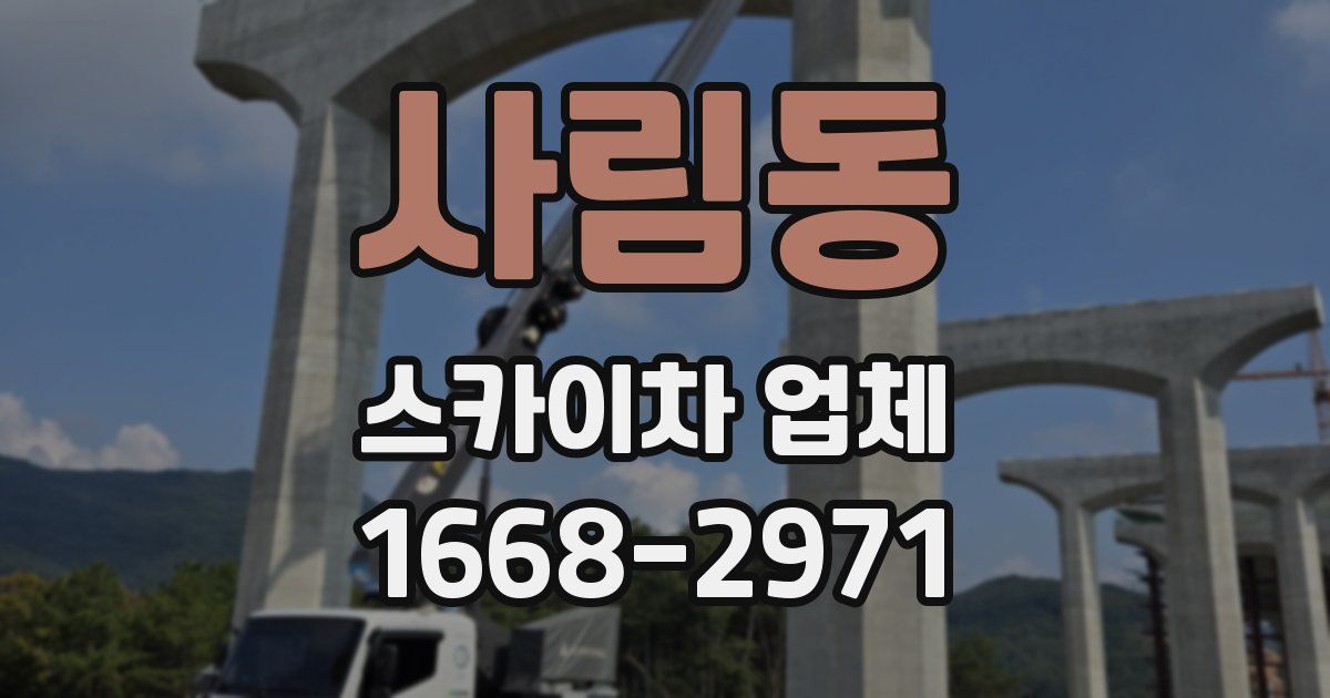 사림동 스카이차 업체