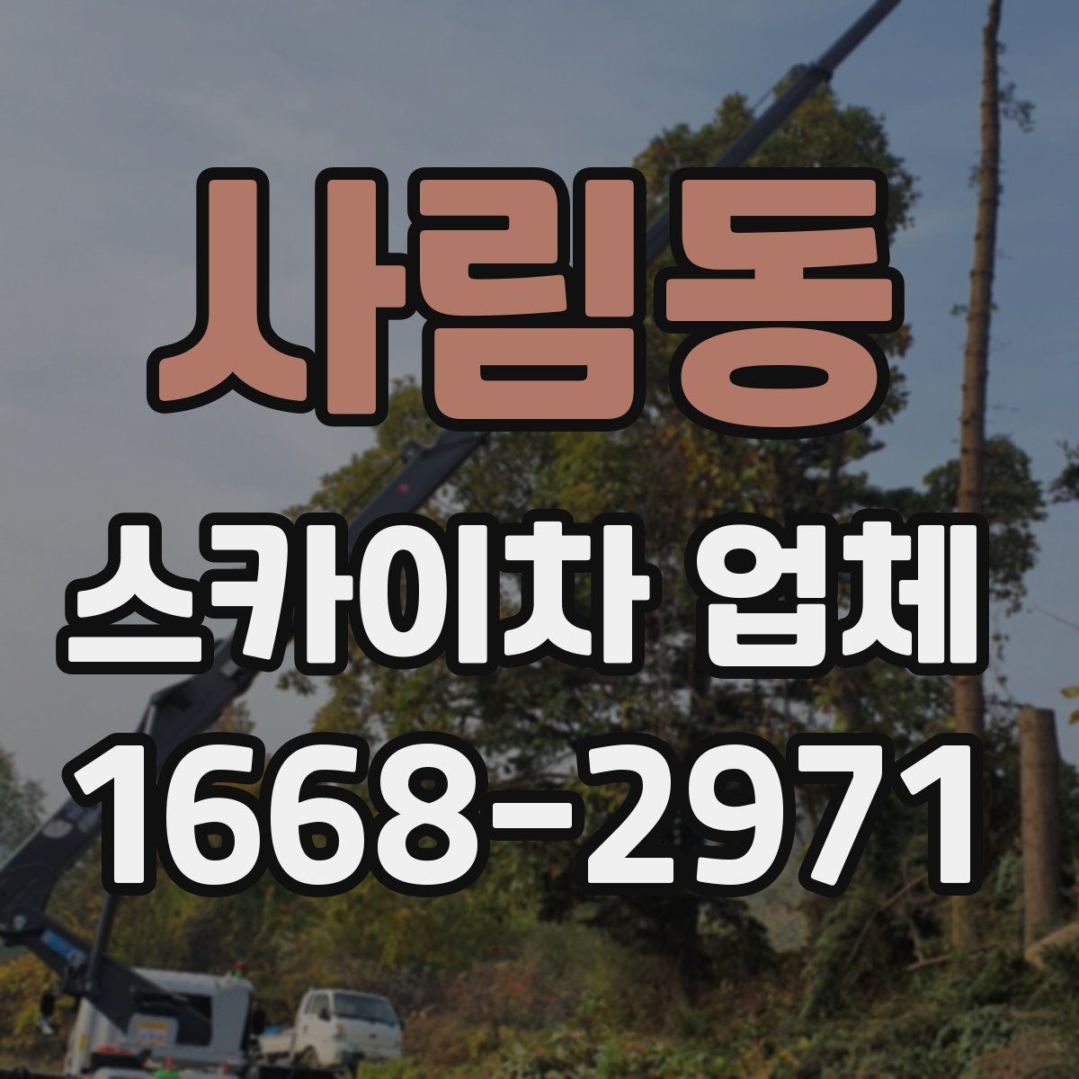 사림동 스카이차 업체