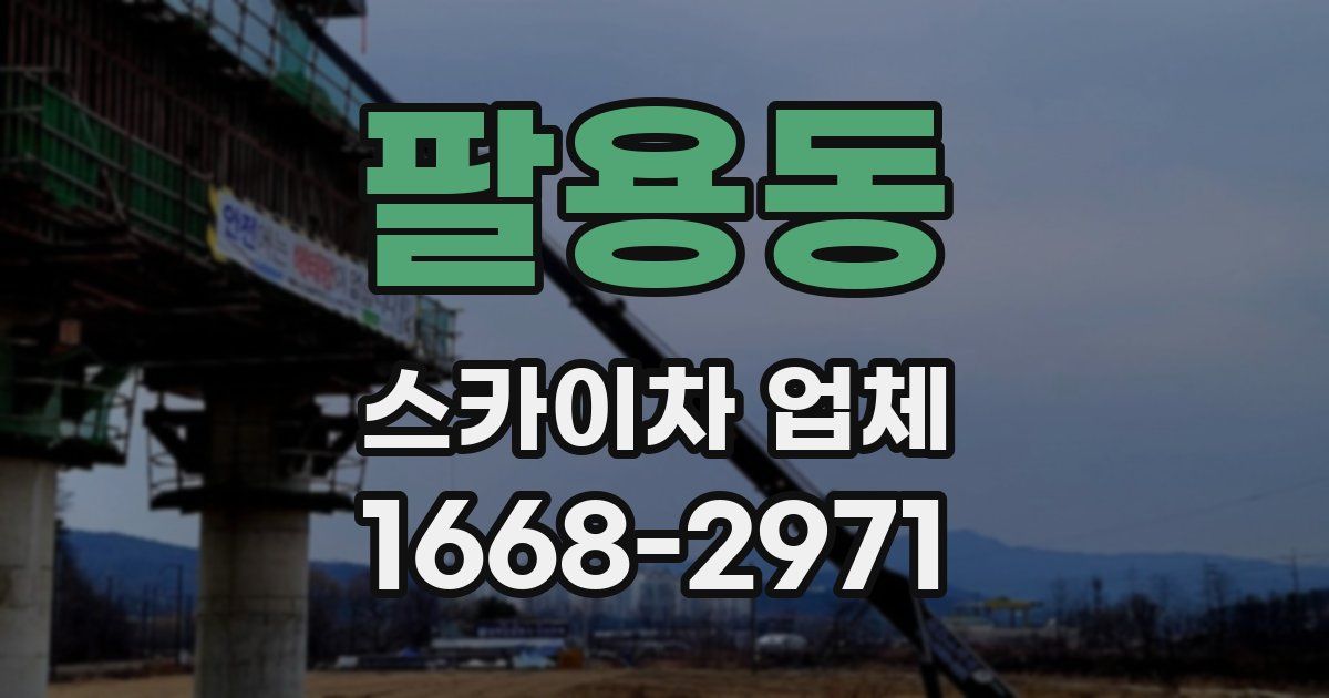 팔용동 스카이차 업체