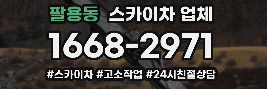 팔용동 스카이차 업체