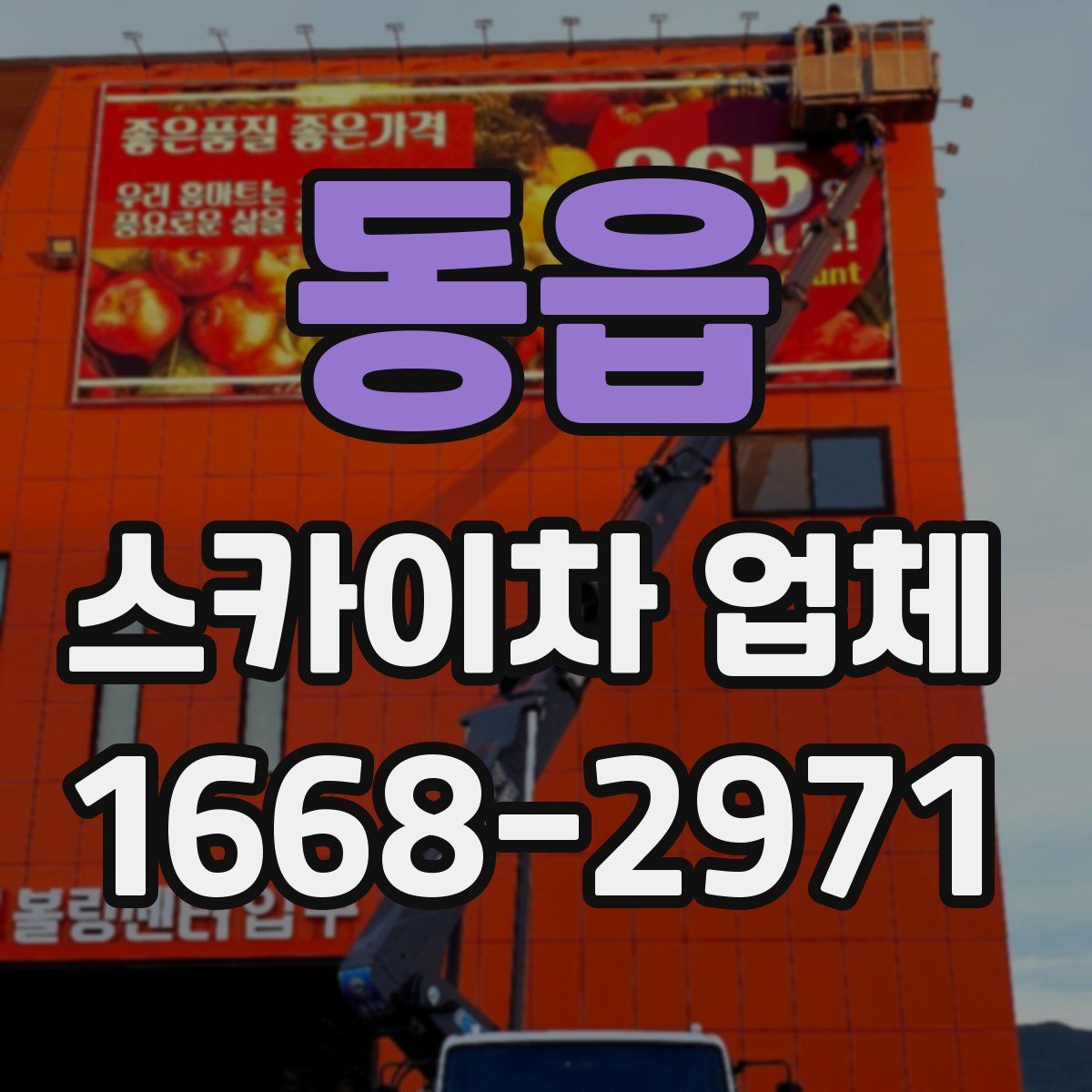 동읍 스카이차 업체