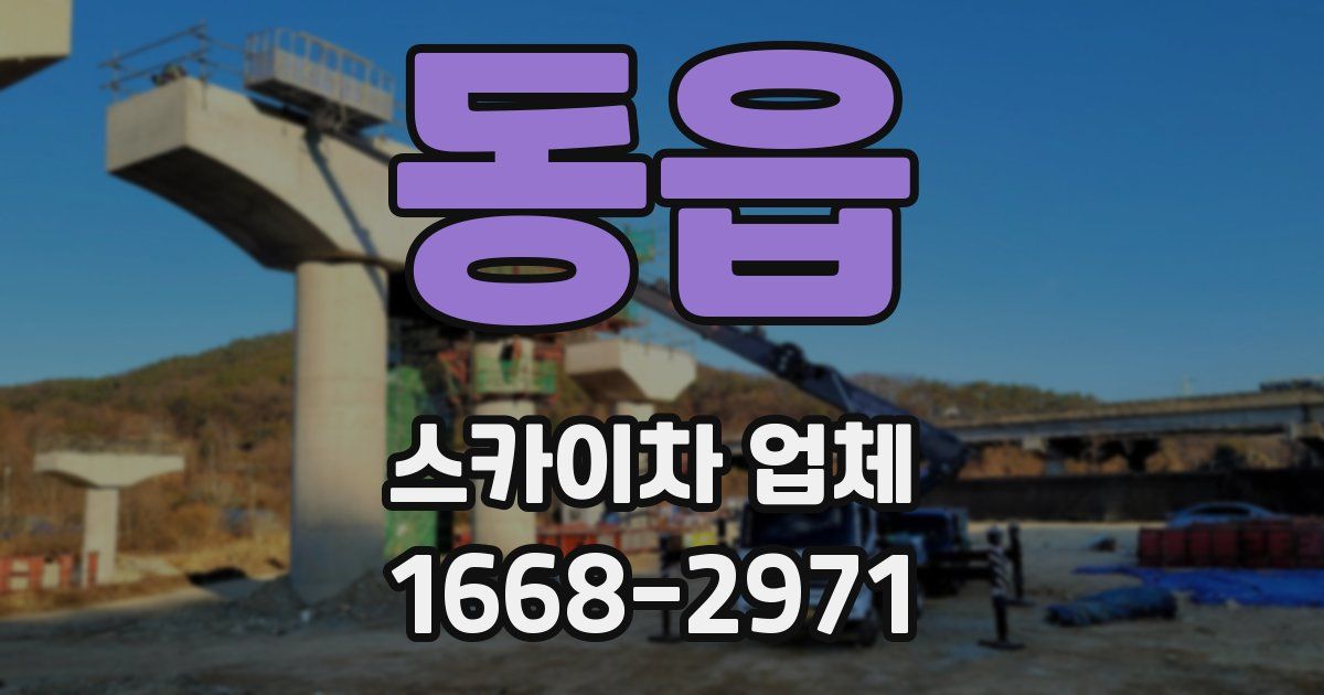 동읍 스카이차 업체