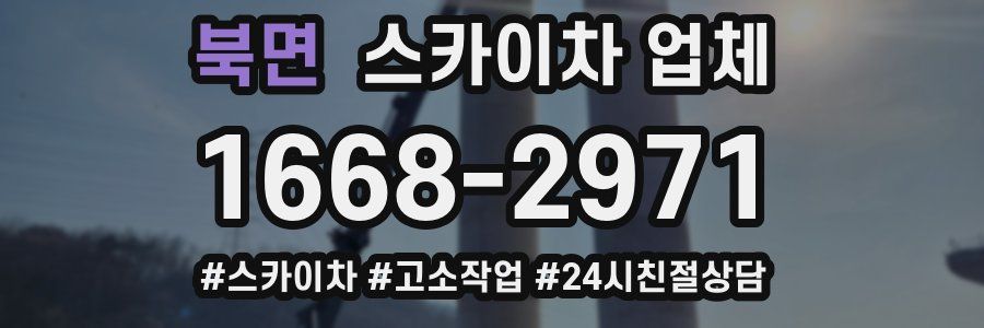 북면 스카이차 업체