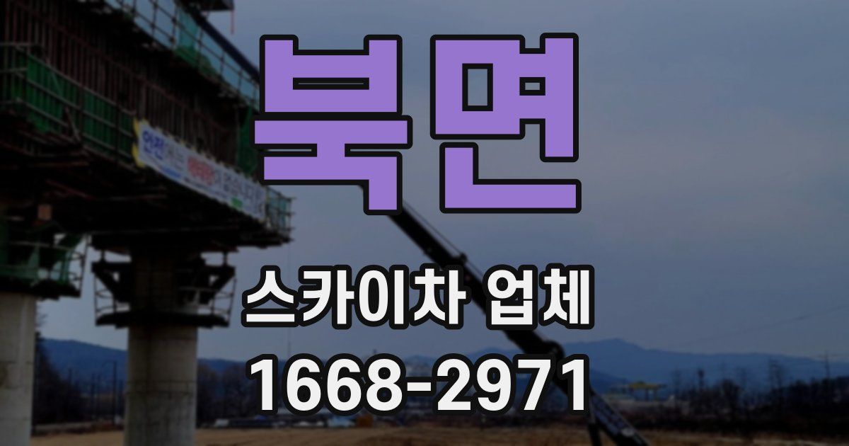 북면 스카이차 업체