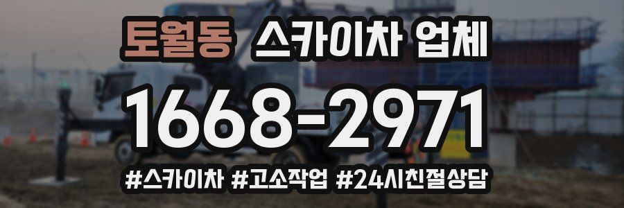 토월동 스카이차 업체
