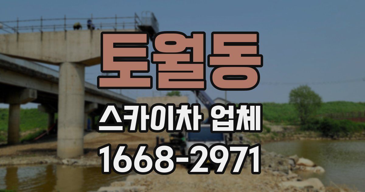 토월동 스카이차 업체