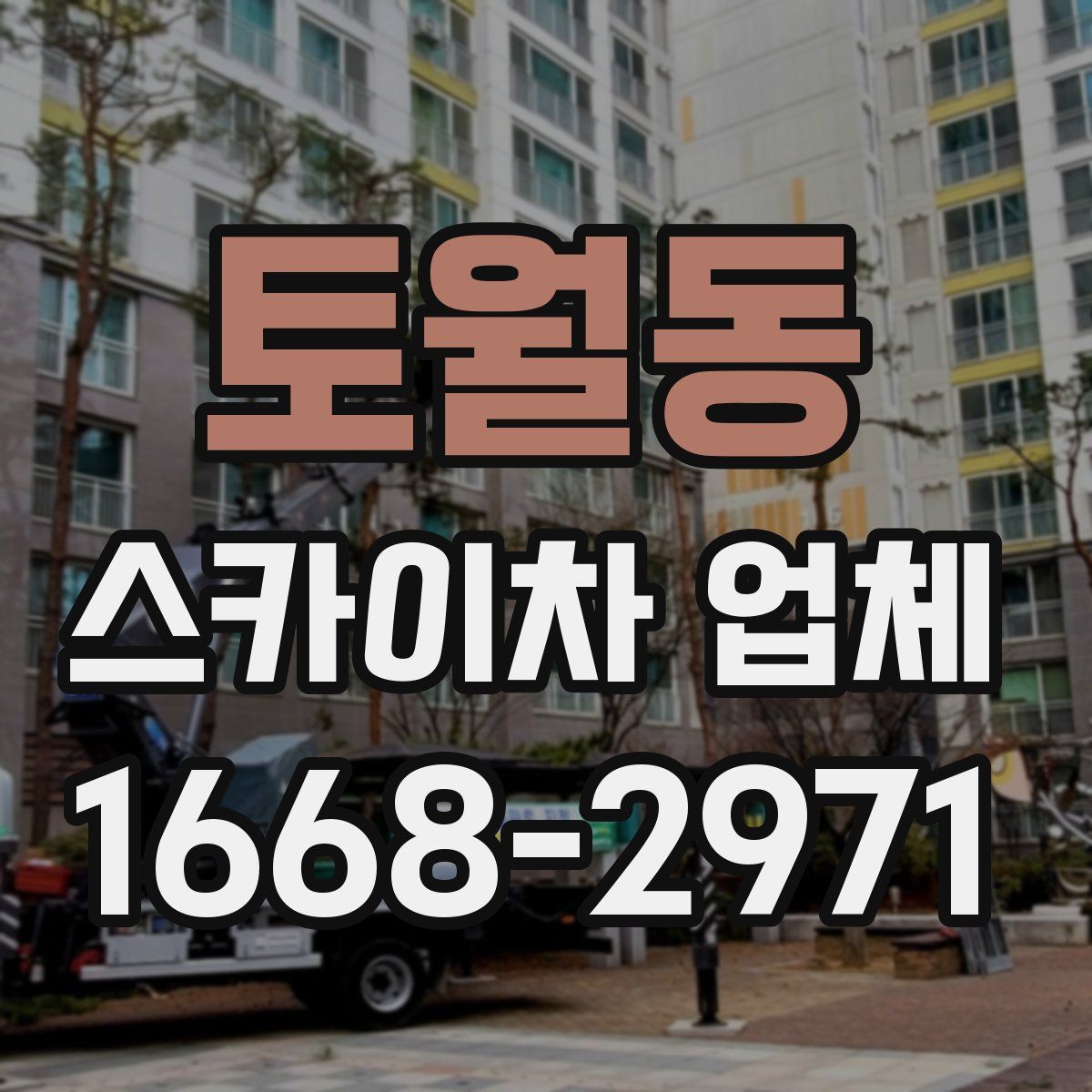 토월동 스카이차 업체