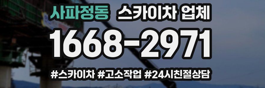 사파정동 스카이차 업체