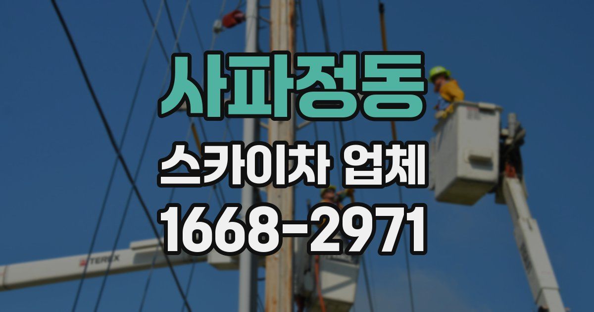 사파정동 스카이차 업체
