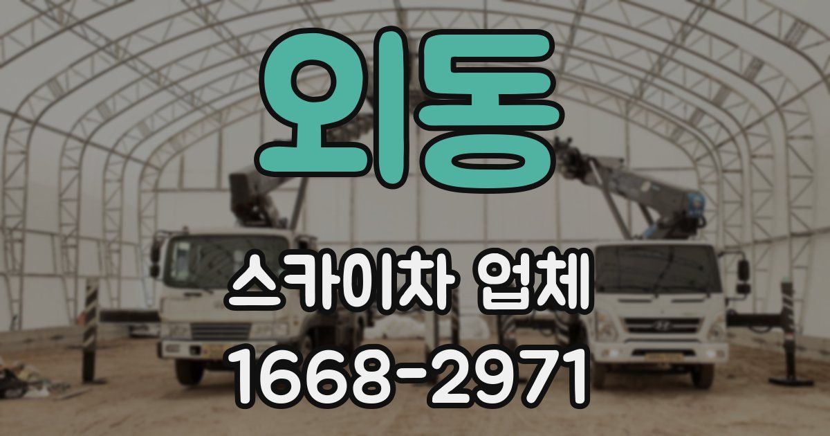 외동 스카이차 업체