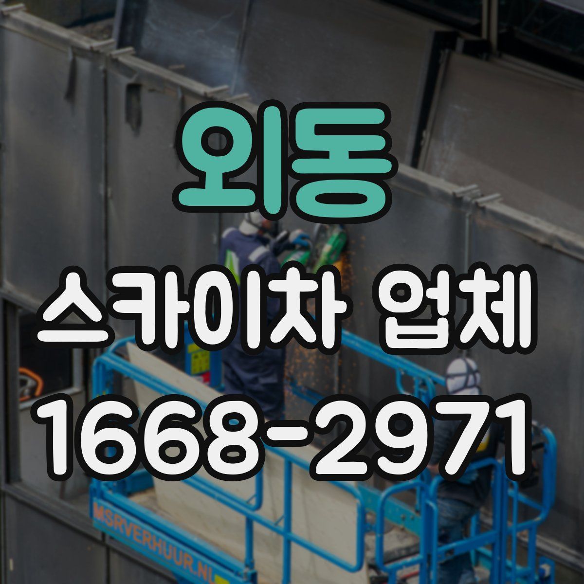외동 스카이차 업체