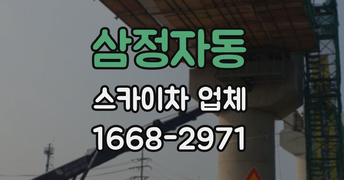삼정자동 스카이차 업체