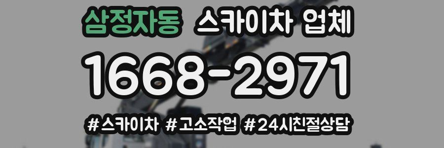 삼정자동 스카이차 업체