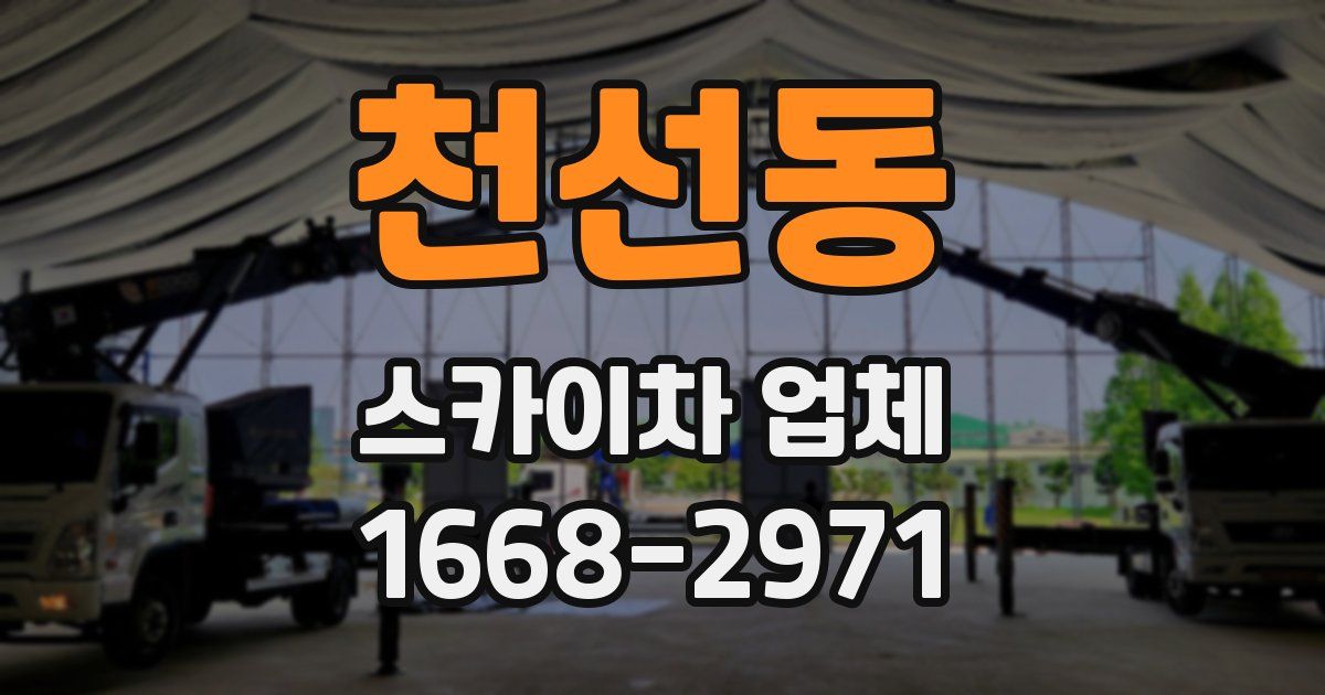 천선동 스카이차 업체