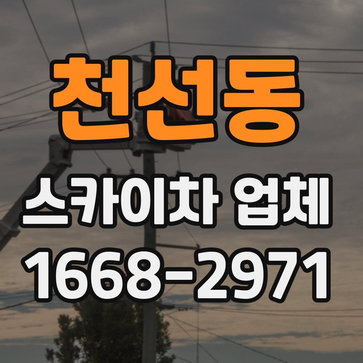 천선동 스카이차 업체