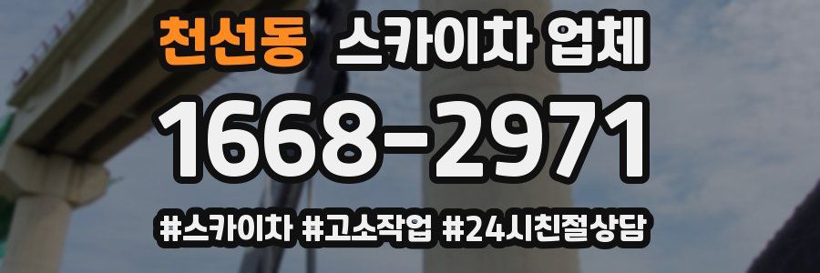 천선동 스카이차 업체