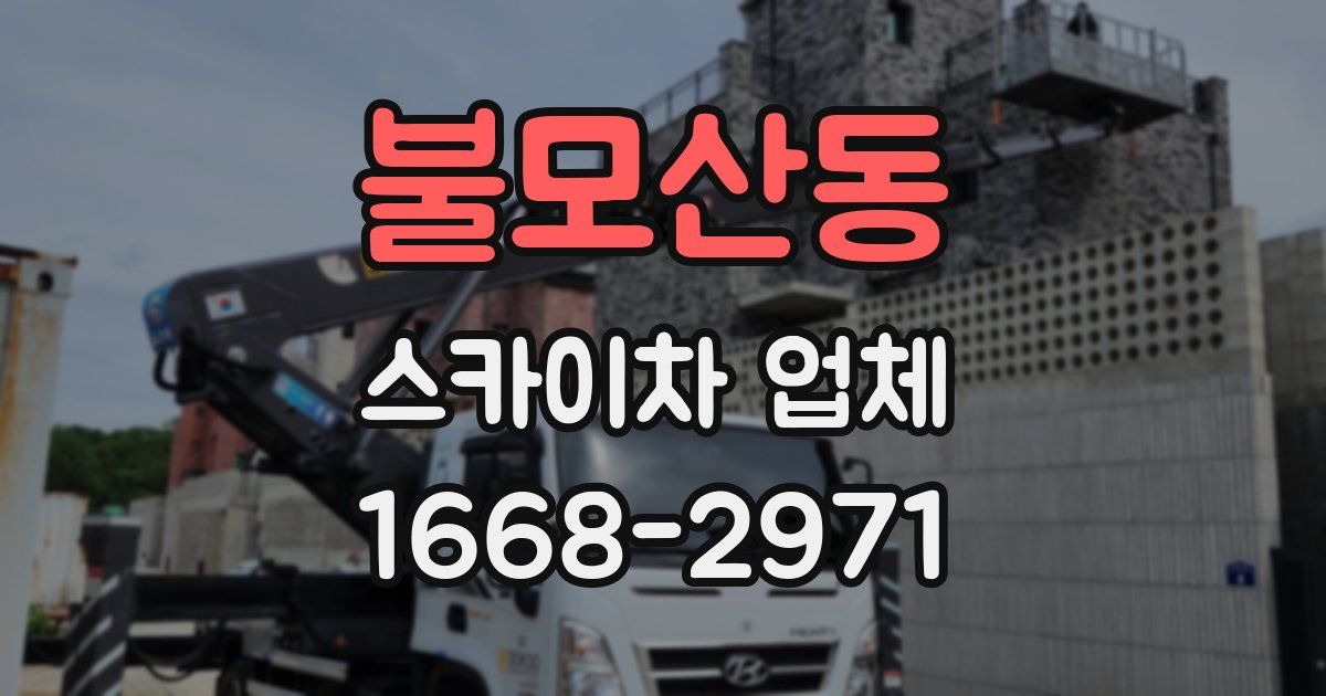 불모산동 스카이차 업체