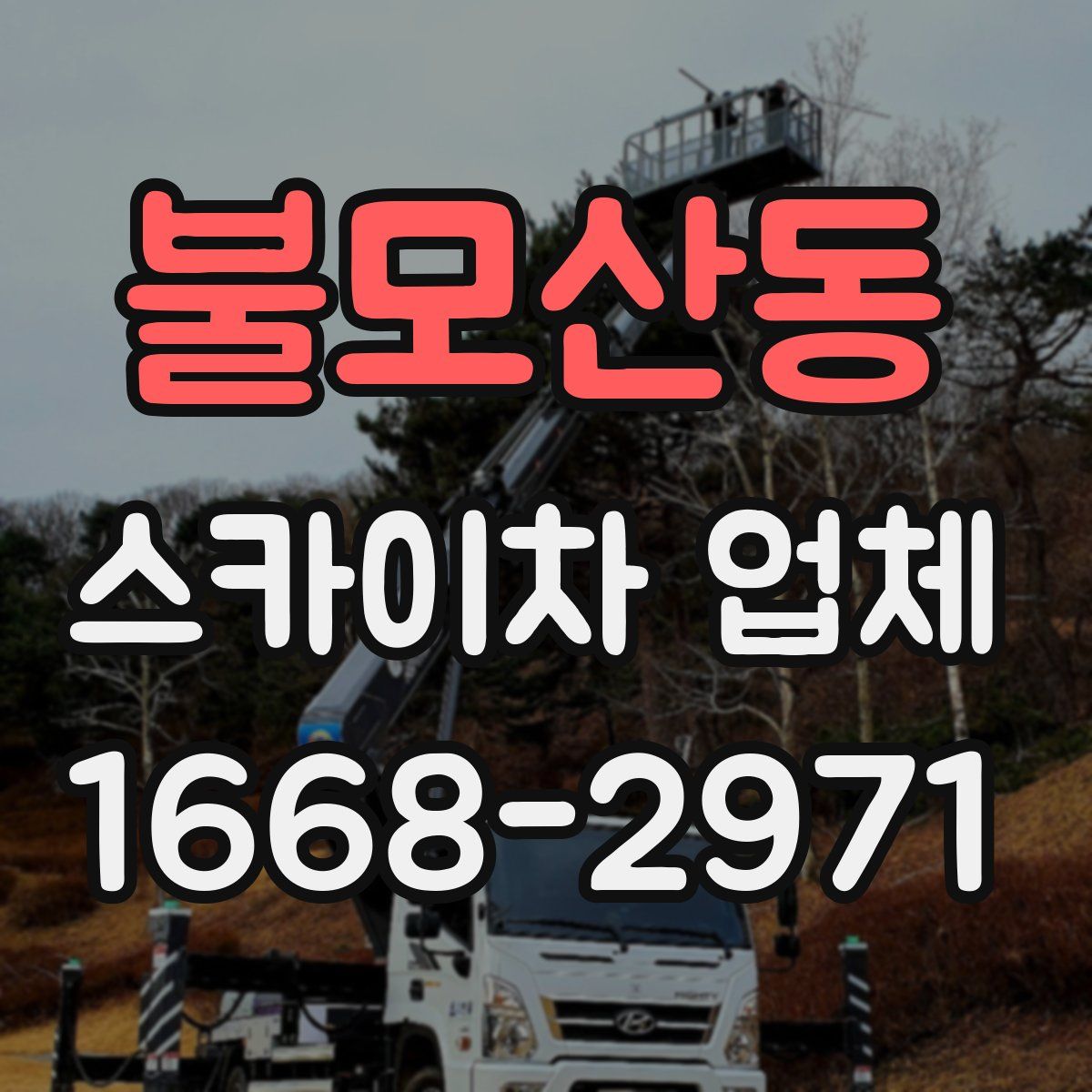 불모산동 스카이차 업체