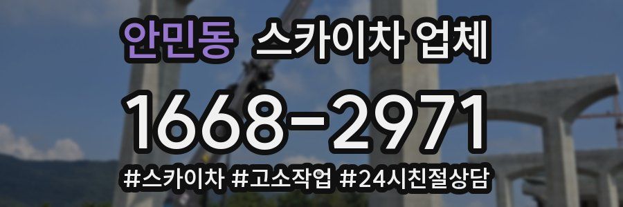 안민동 스카이차 업체
