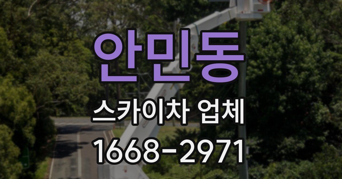 안민동 스카이차 업체