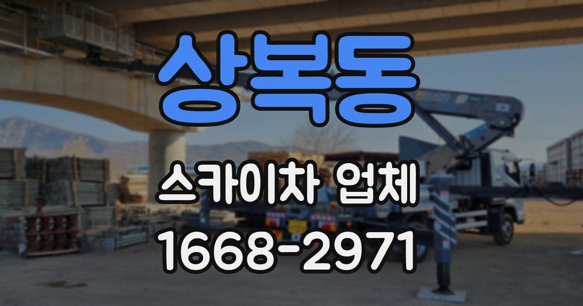 상복동 스카이차 업체