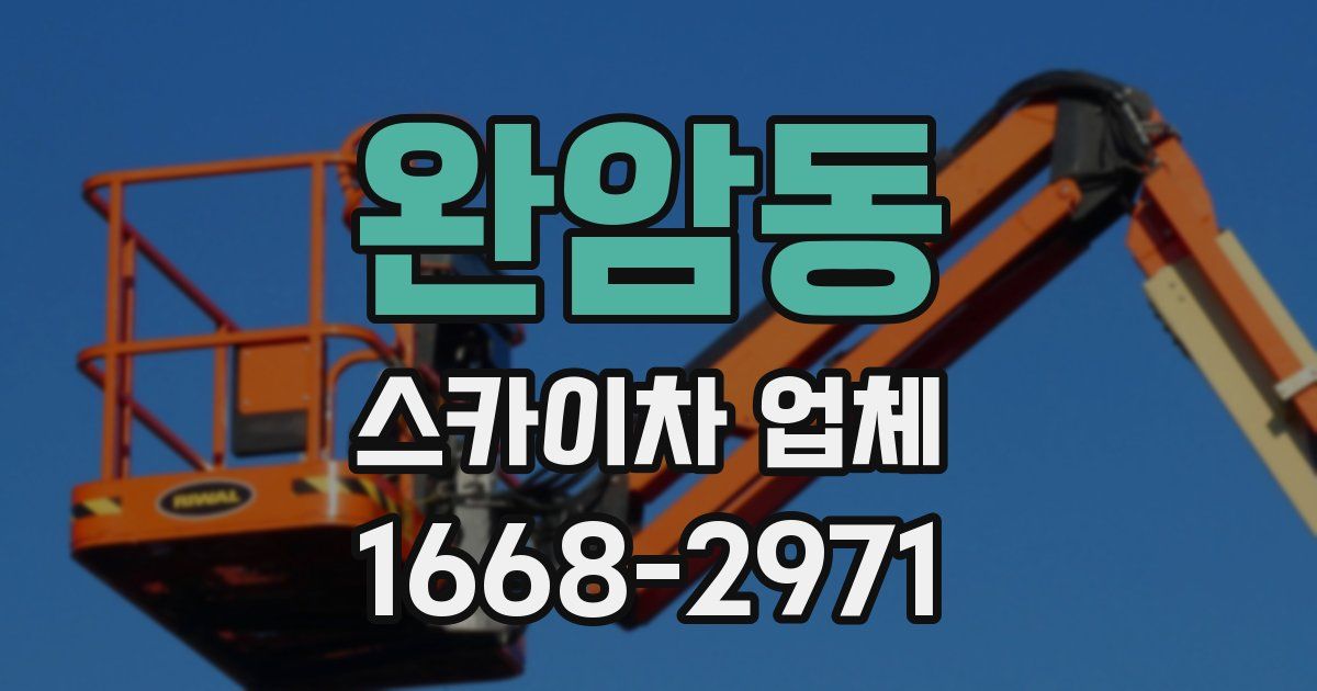 완암동 스카이차 업체
