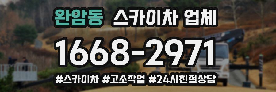 완암동 스카이차 업체