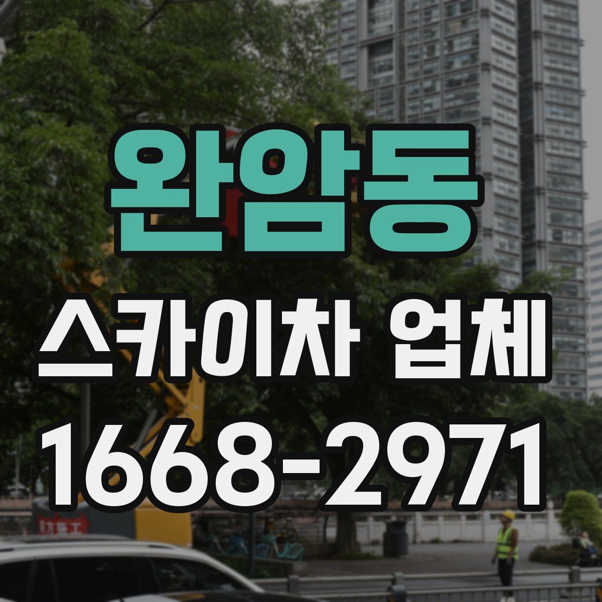 완암동 스카이차 업체
