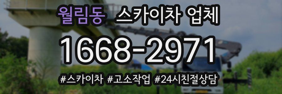 월림동 스카이차 업체