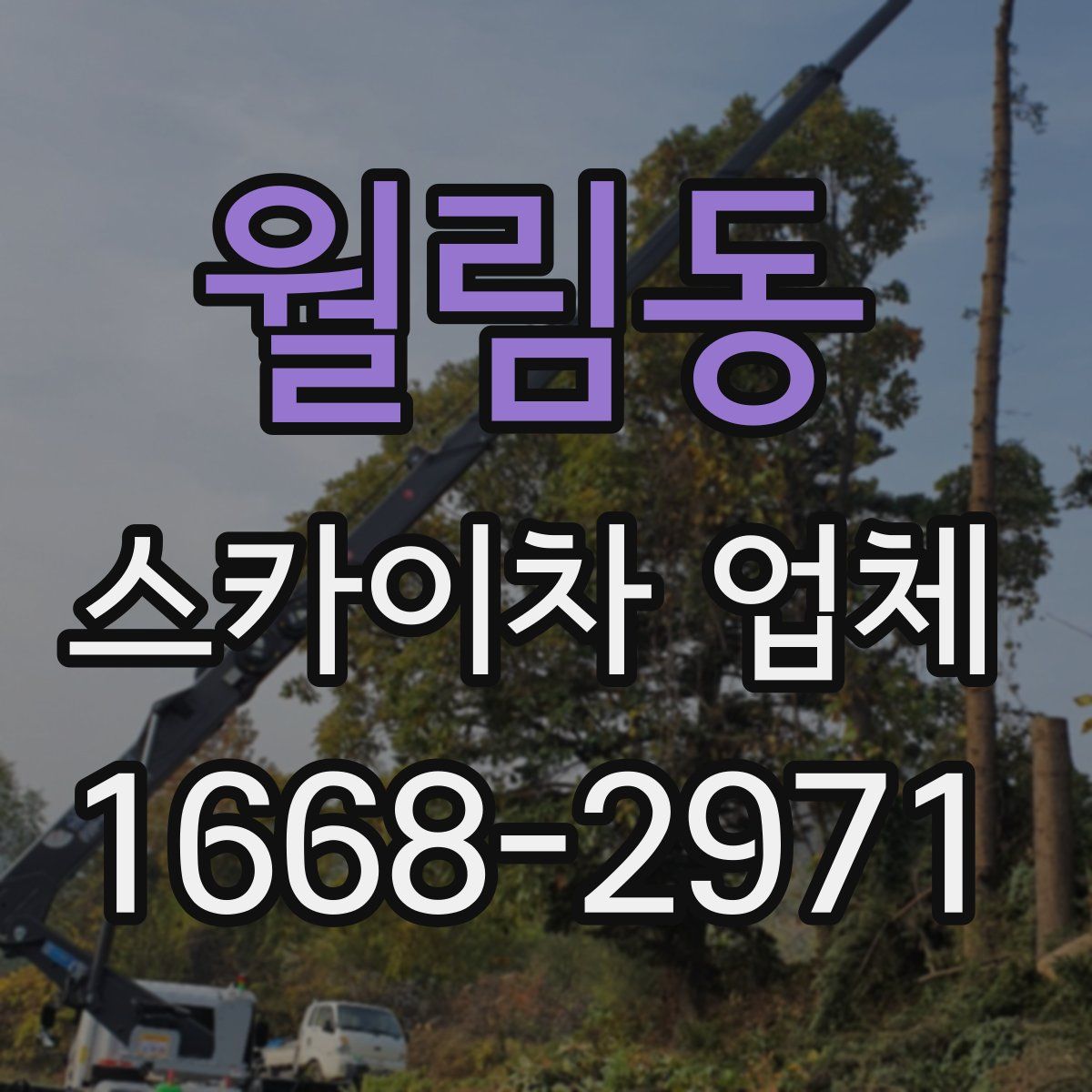 월림동 스카이차 업체