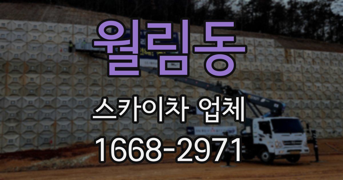 월림동 스카이차 업체